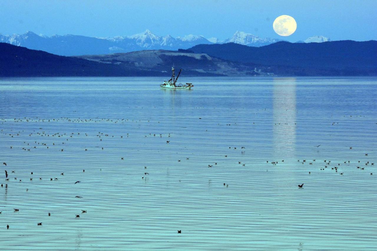 Oceanfront Paradise Comox Kültér fotó