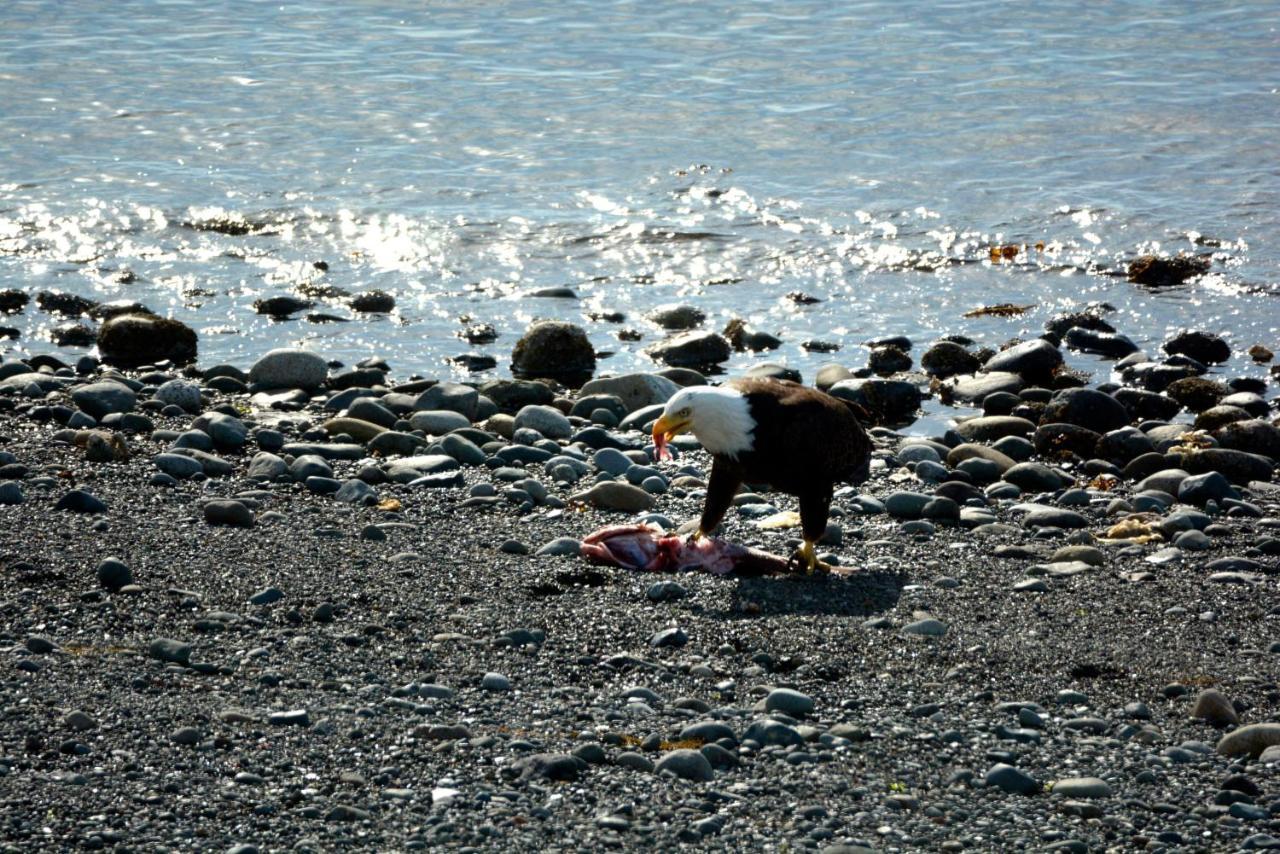 Oceanfront Paradise Comox Kültér fotó