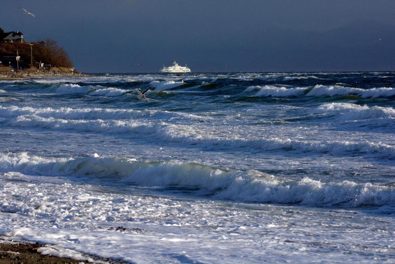 Oceanfront Paradise Comox Kültér fotó